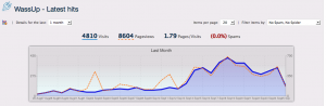 8000 page views a month wassup website stats