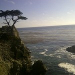  pacific ocean northern california cyprus point cyprus tree
