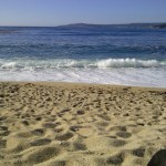 northern california coastline beach