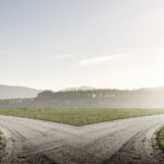 A gravel road splitting into two paths across a green field, with misty mountains in the distance.